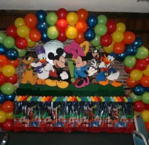 birthday Theme Decor